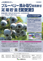 ブルーベリーの摘み取り利用券付き！