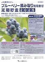 ブルーベリーの摘み取り利用券付