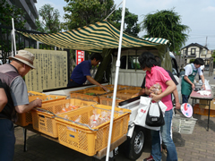 本多わかば公園