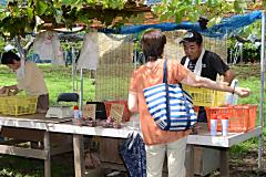 船木ぶどう園