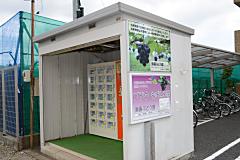 ファーム須藤