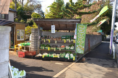 中村園