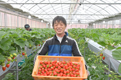 いちごランド 以志井(いしい)農園