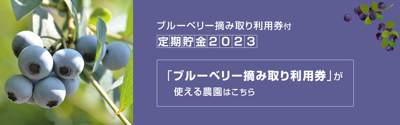 「ブルーベリー摘み取り利用券2023」が使える農園はこちら