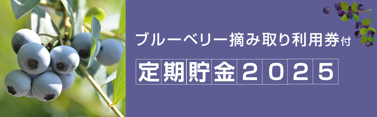 ブルーベリー摘み取り利用券付