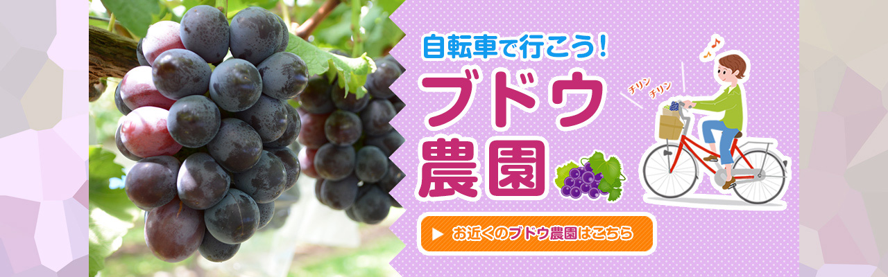 ブドウ農園