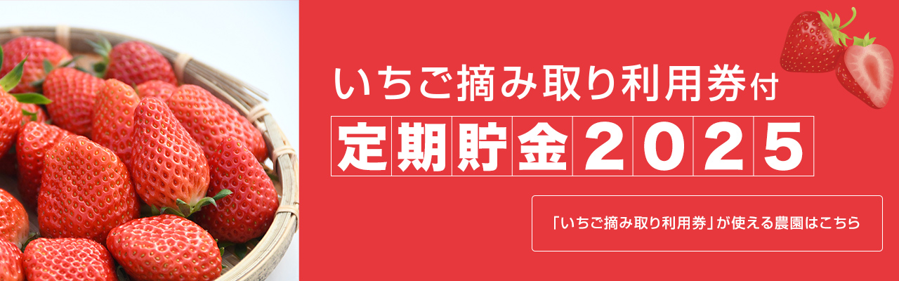 いちご摘み取り利用券付き定期貯金2023