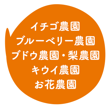 イチゴ農園/ブルーベリー農園/ブドウ農園/梨農園/キウイ農園/お花農園