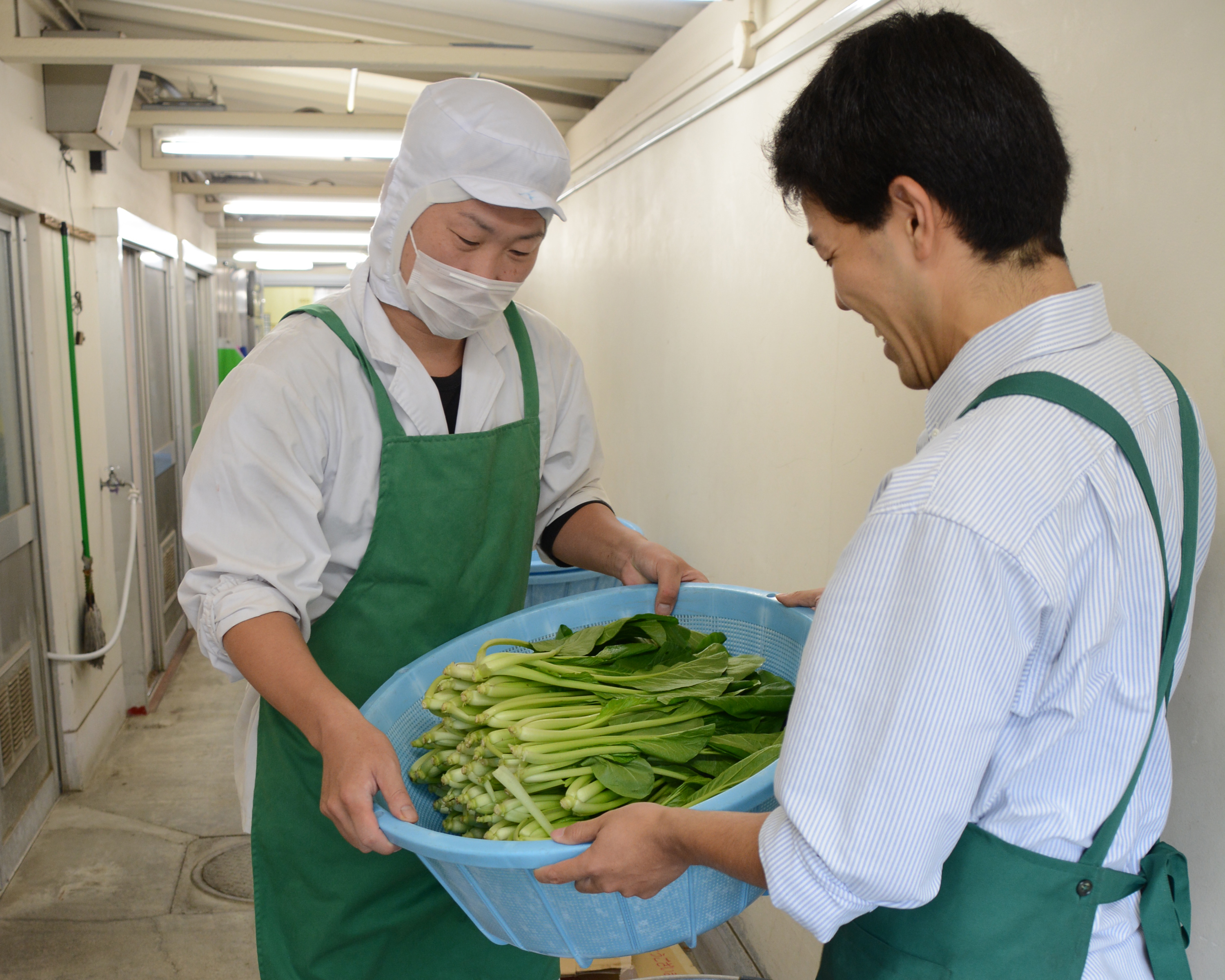 学校給食への地場産食材の供給拡大