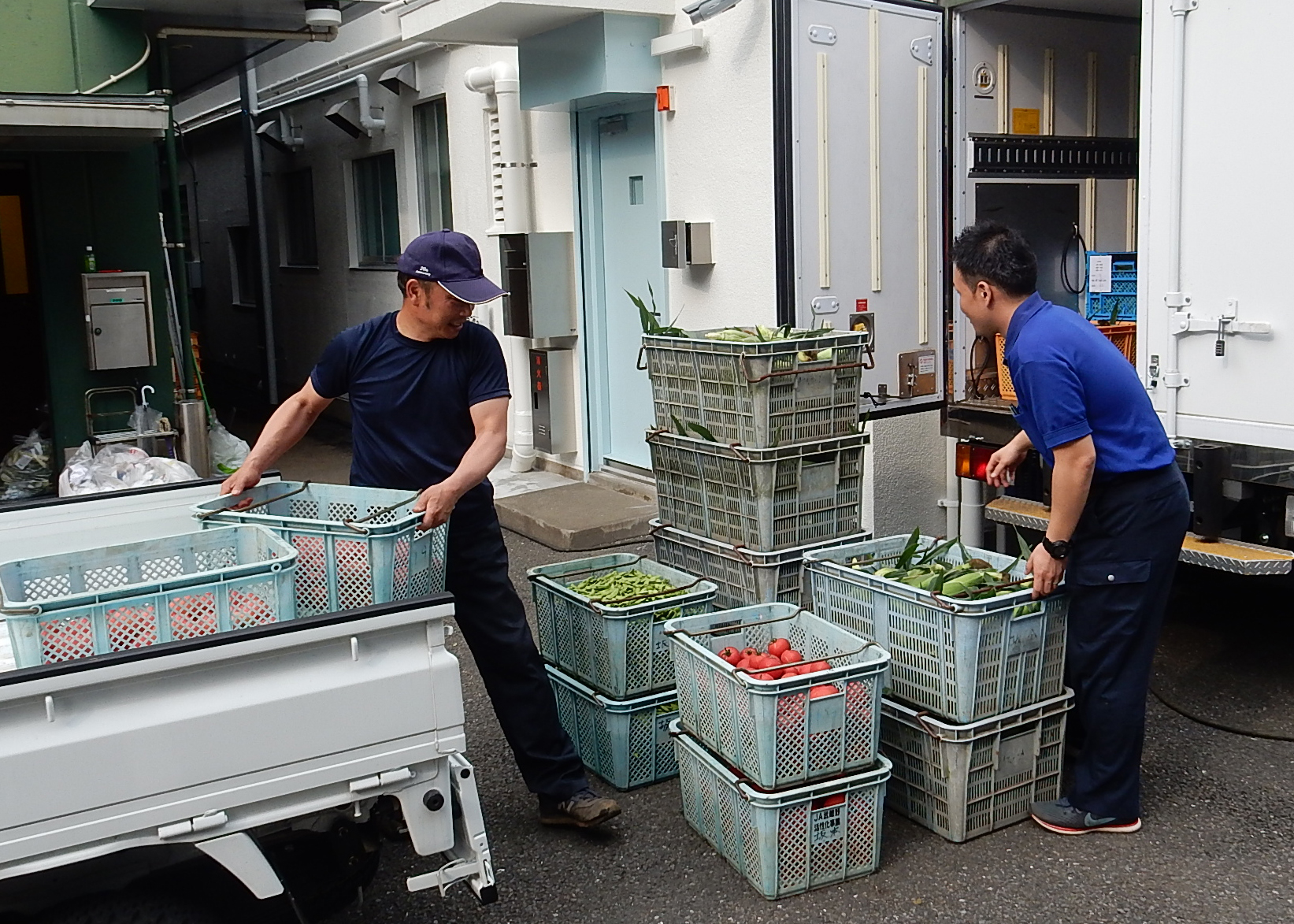 いっぱい食べてね!学校給食へ地場産野菜の納品を強化