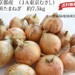 ＪＡ全農が運営する通販サイト「ＪＡタウン」で新タマネギが発売中です
