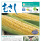 情報誌「むさし」7・8月号を掲載しました。