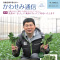 准組合員向け広報誌「かわせみ通信」6号を掲載しました