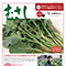 情報誌「むさし」3・4月号を掲載しました。