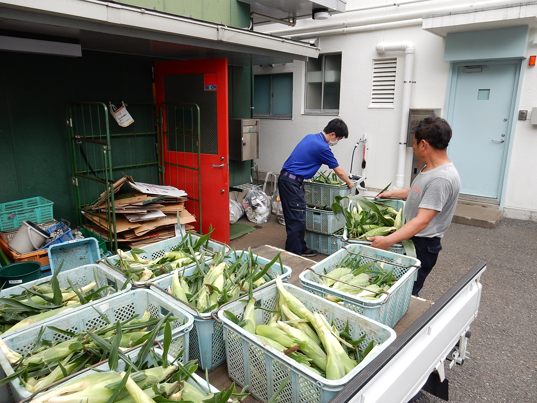 学校給食を通して新鮮地場野菜を子どもたちへ