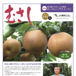 情報誌「むさし」9・10月号を掲載しました。