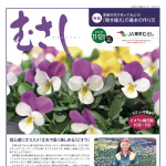 情報誌「むさし」11・12月号を掲載しました。