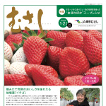 情報誌「むさし」1・2月号を掲載しました。