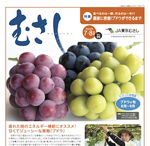 情報誌「むさし」7・8月号を掲載しました。