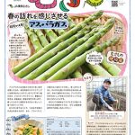 情報誌「むさし」3・4月号を掲載しました。