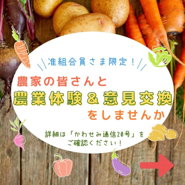 .
＜地域の農業に触れて、都市農業を応援＞
農家の皆さんと農業体験＆意見交換をしませんか
 
准組合員（東京むさしＪＡパートナー）の皆さまを対象とした農業体験＆意見交換を今年も開催します。さまざまな野菜の種まきから収穫まで体験していただけます。ご応募お待ちしております！
 
【募集要項】
対象 : 准組合員

場  所 : 三鷹・小平・国分寺・小金井・武蔵野

時  期 ： ９月上旬～１１月下旬（各地区計３回）

定員 : 各地区とも20名

参加費 : 1500円

申込方法 : 准組合員の皆さまにご郵送している「かわせみ通信２０号」のハガキにてお申し込み

申込締切 : 2025年７月２５日（金）当日消印有効

＊各地区３回全てご参加いただける方に限らせていただきます。
＊詳細は「かわせみ通信２０号」をご確認ください。
 
#准組合員 #東京むさし #jaパートナー #農業体験 #意見交換 #農業 #ja #農協 #ja東京むさし #東京むさし農業協同組合 #かわせみ通信